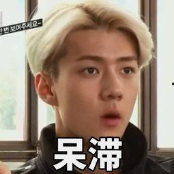 总攻表情包,趣味横生的网络文化现象